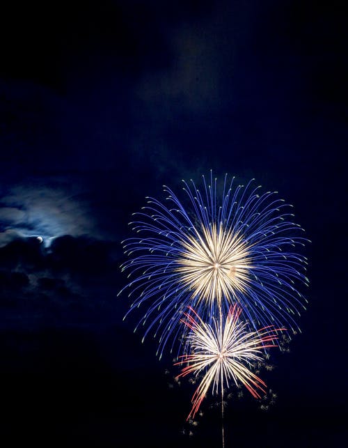 Detail Firework Free Image Nomer 30