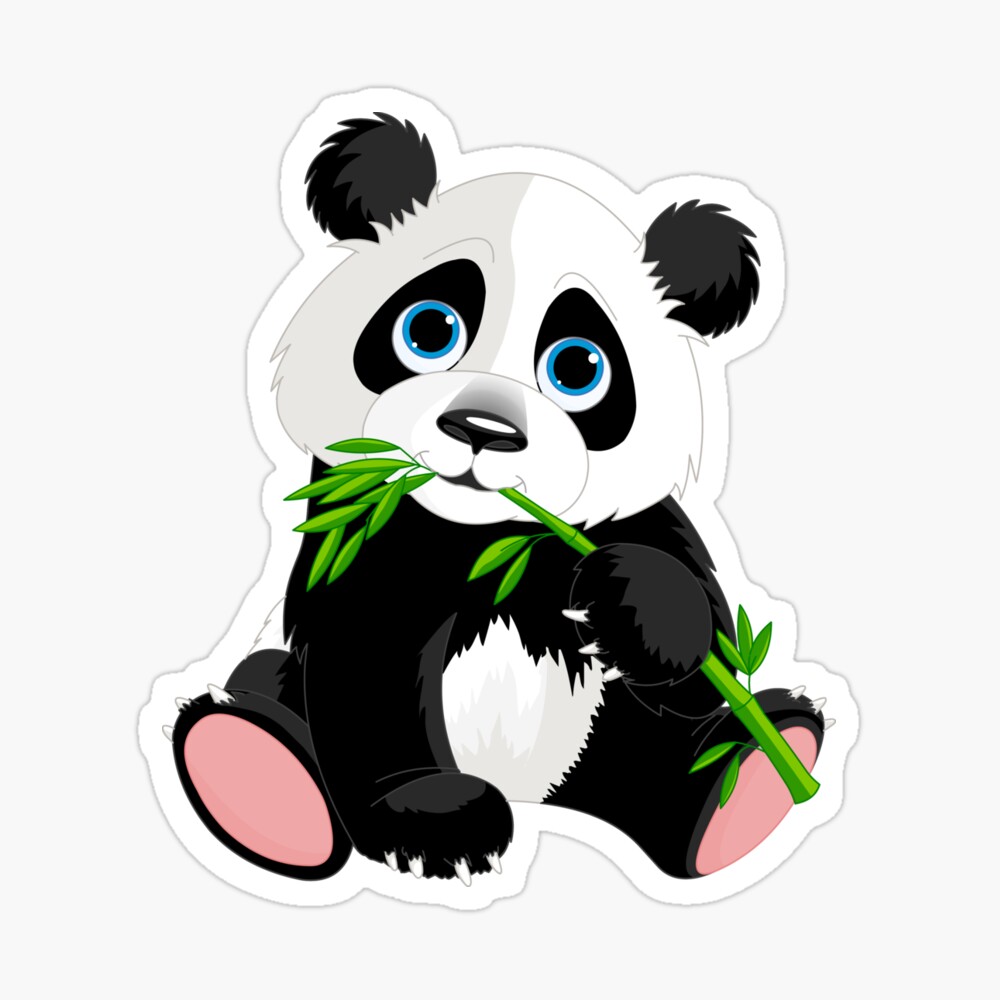 Detail Panda Eukalyptus Nomer 2