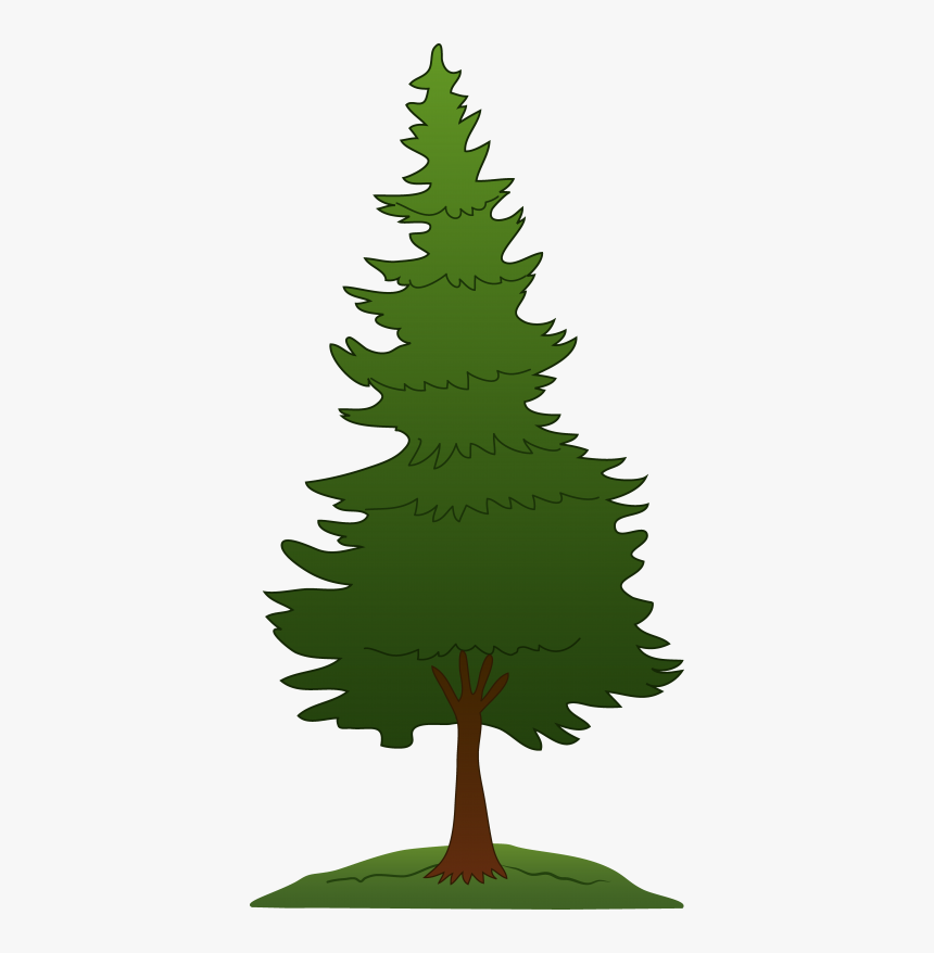 Detail Pine Tree Png Nomer 8