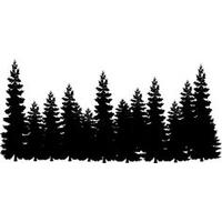 Detail Pine Tree Png Nomer 9