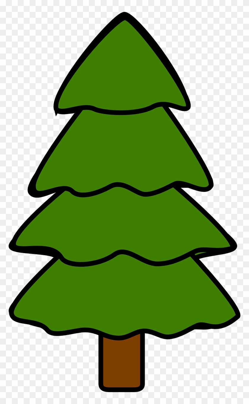 Detail Pine Tree Png Nomer 13