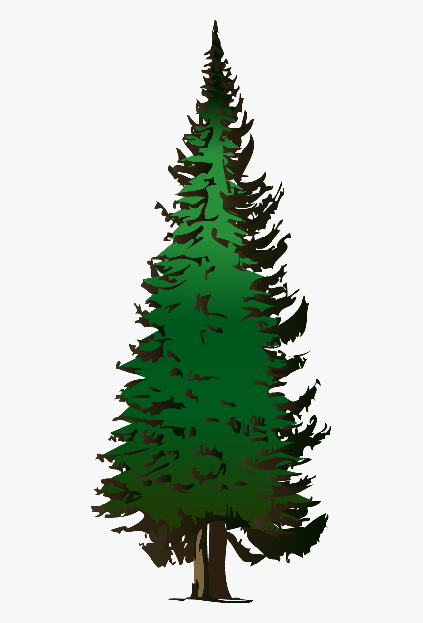 Pine Tree Png - KibrisPDR