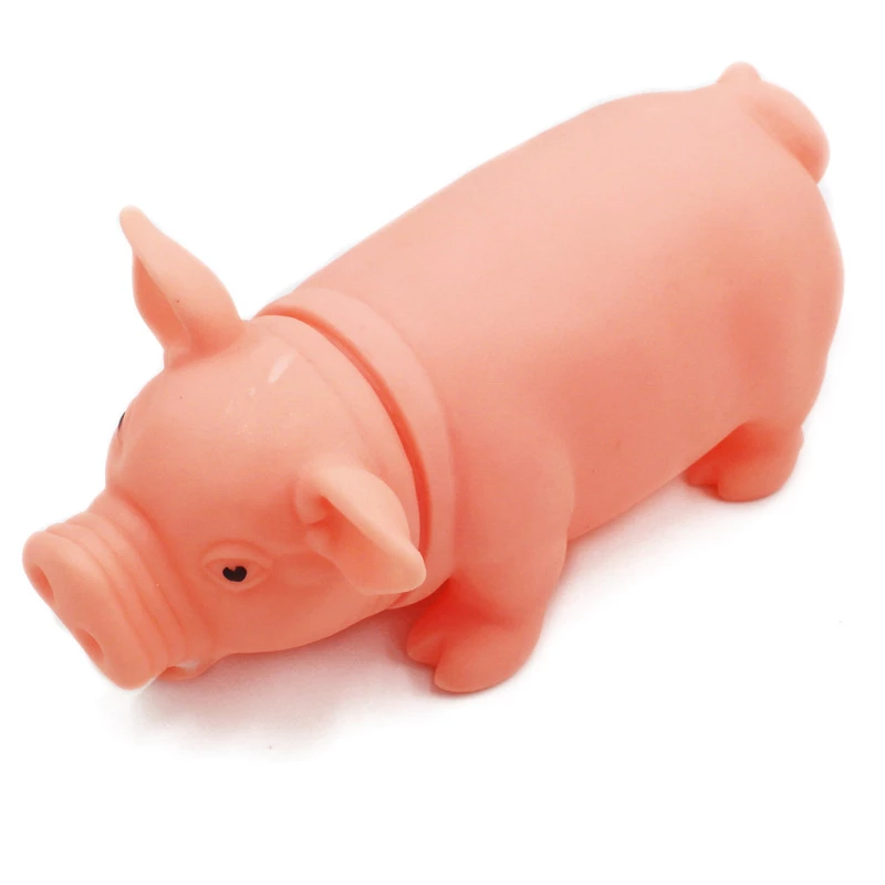 Detail Schwein Lustig Nomer 13