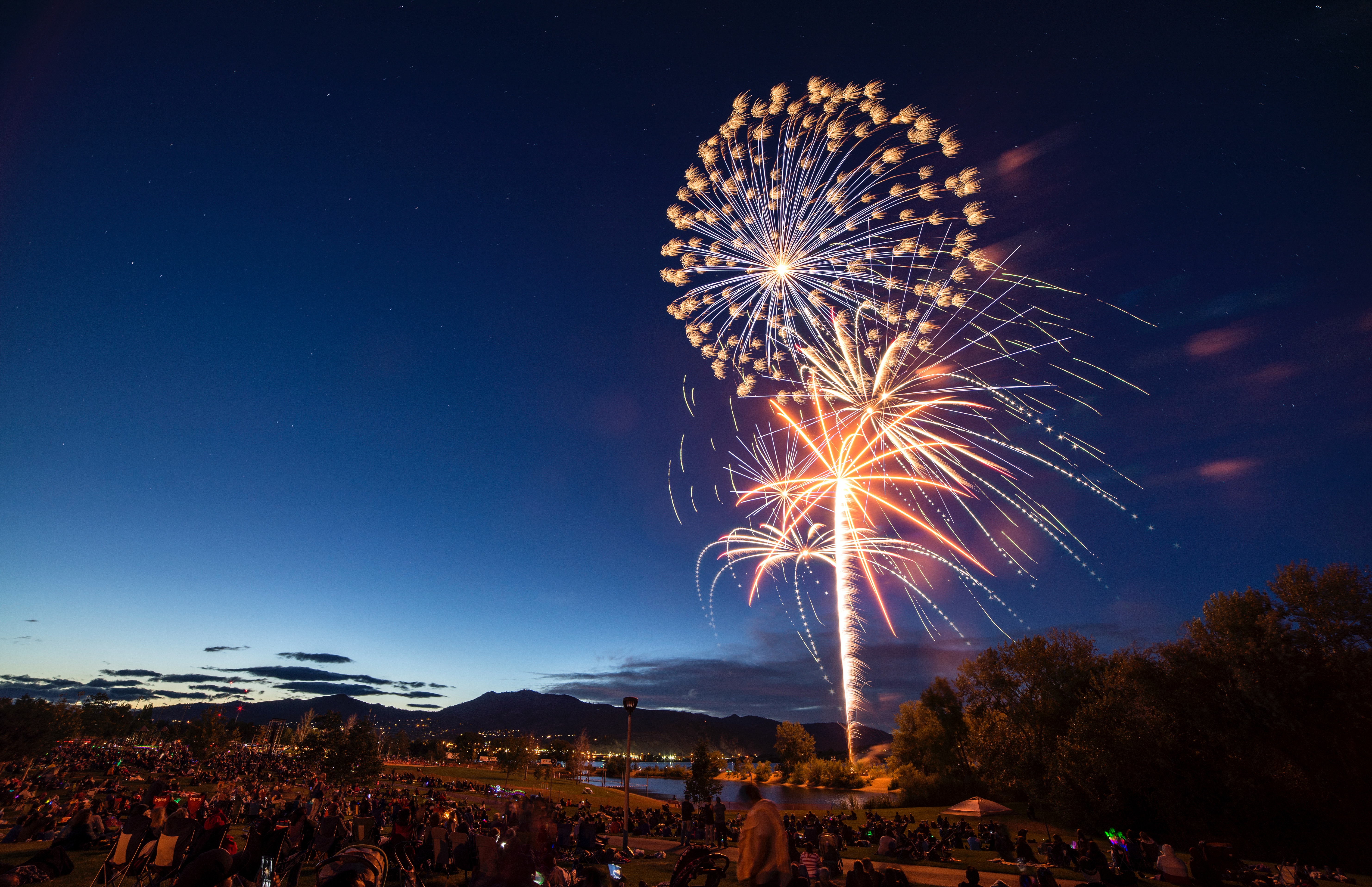 Detail Fireworks Free Image Nomer 36