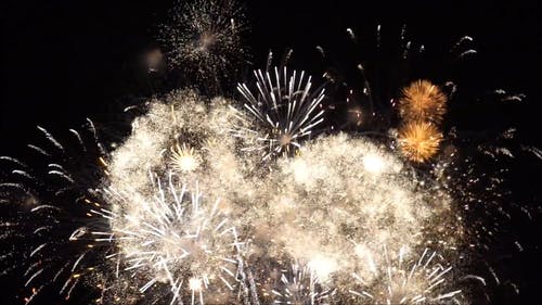 Detail Fireworks Images Free Download Nomer 28