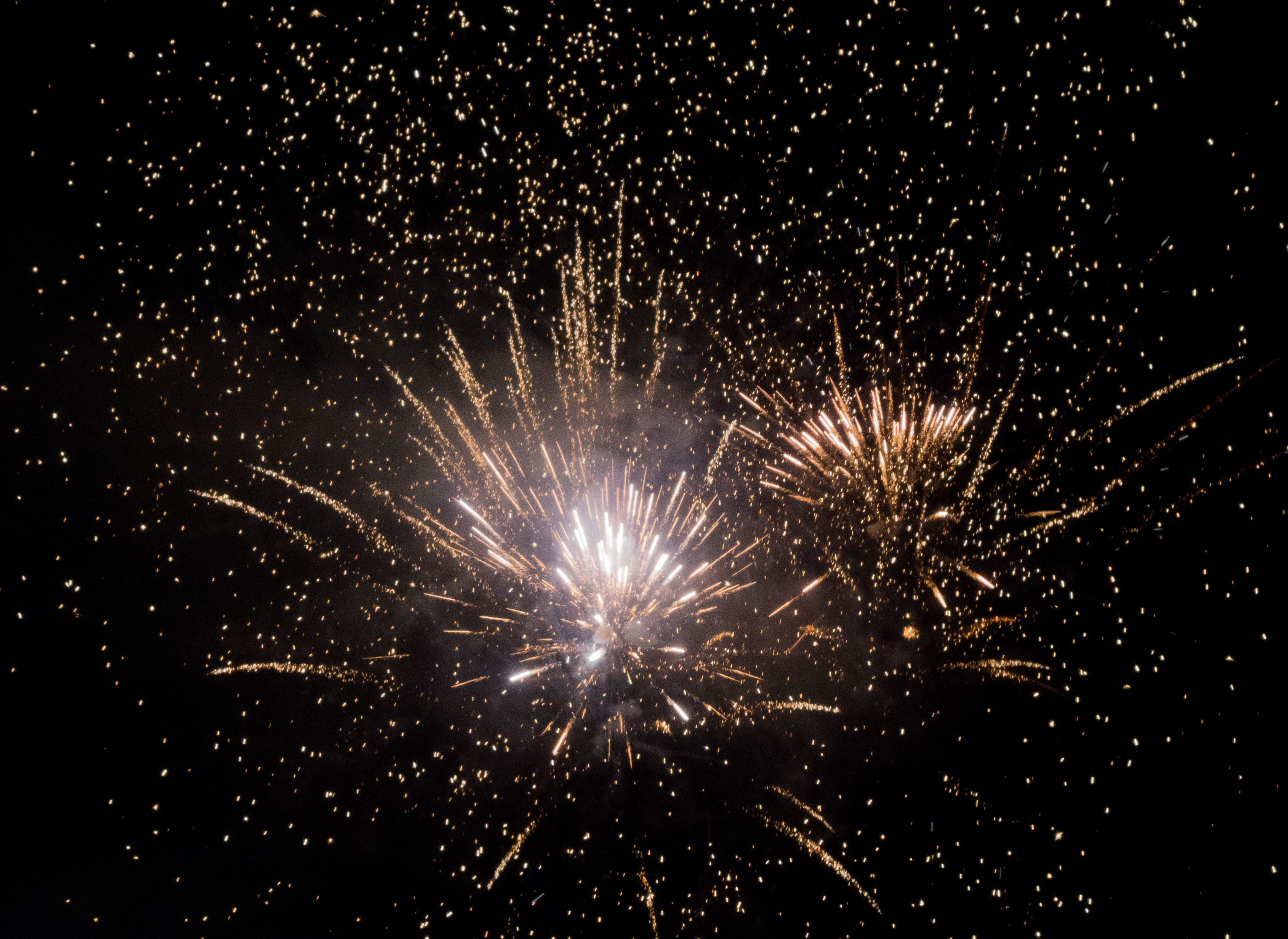 Detail Fireworks Images Free Download Nomer 35