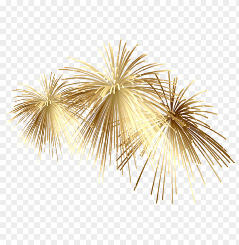 Detail Fireworks Png Transparent Nomer 45
