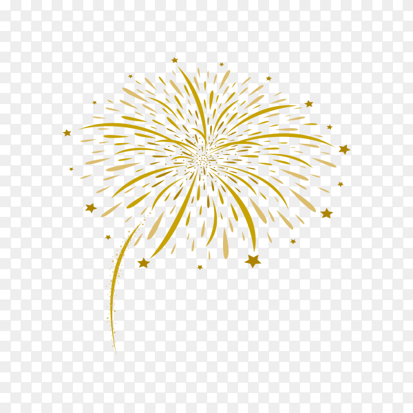 Detail Fireworks Transparent Background Nomer 6