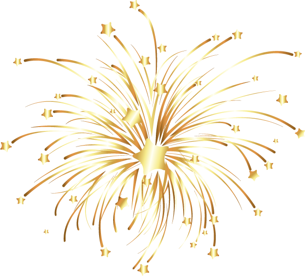 Detail Fireworks Vector Png Nomer 17
