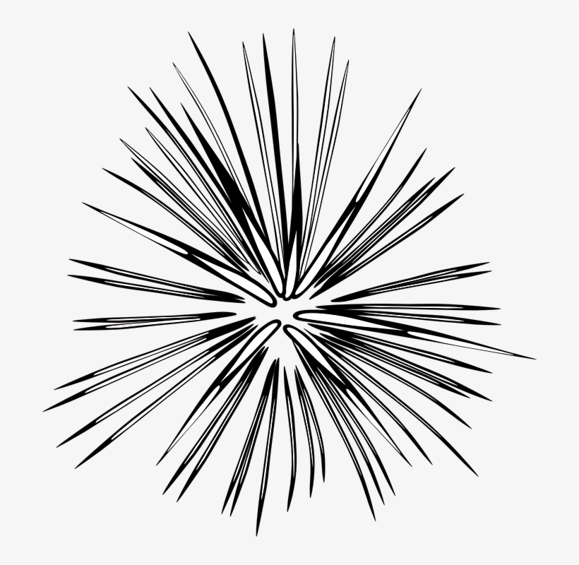 Detail Fireworks Vector Png Nomer 37