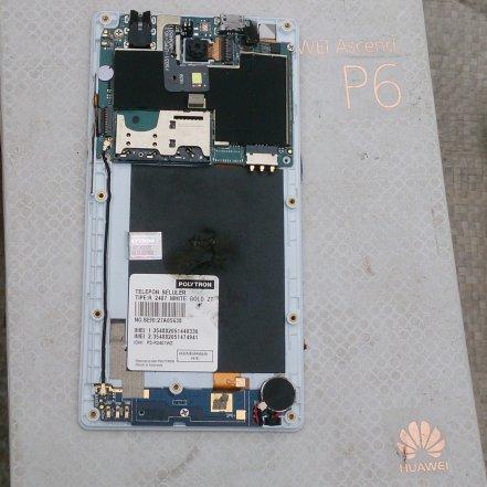 Detail Firmware Polytron R2407 White Gold Nomer 14