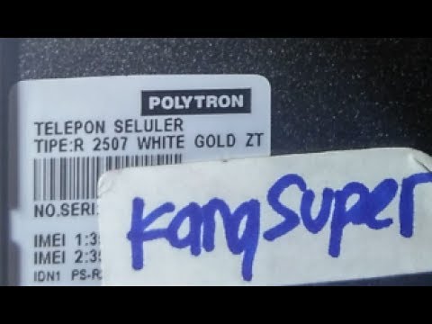 Detail Firmware Polytron R2407 White Gold Nomer 26