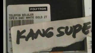 Detail Firmware Polytron R2407 White Gold Nomer 5