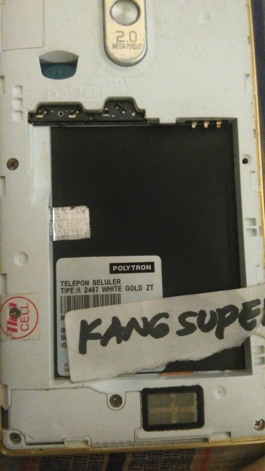 Detail Firmware Polytron R2407 White Gold Nomer 7