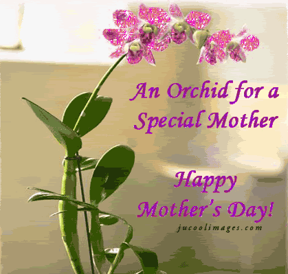 Detail First Mothers Day Celebration Quotes Nomer 21