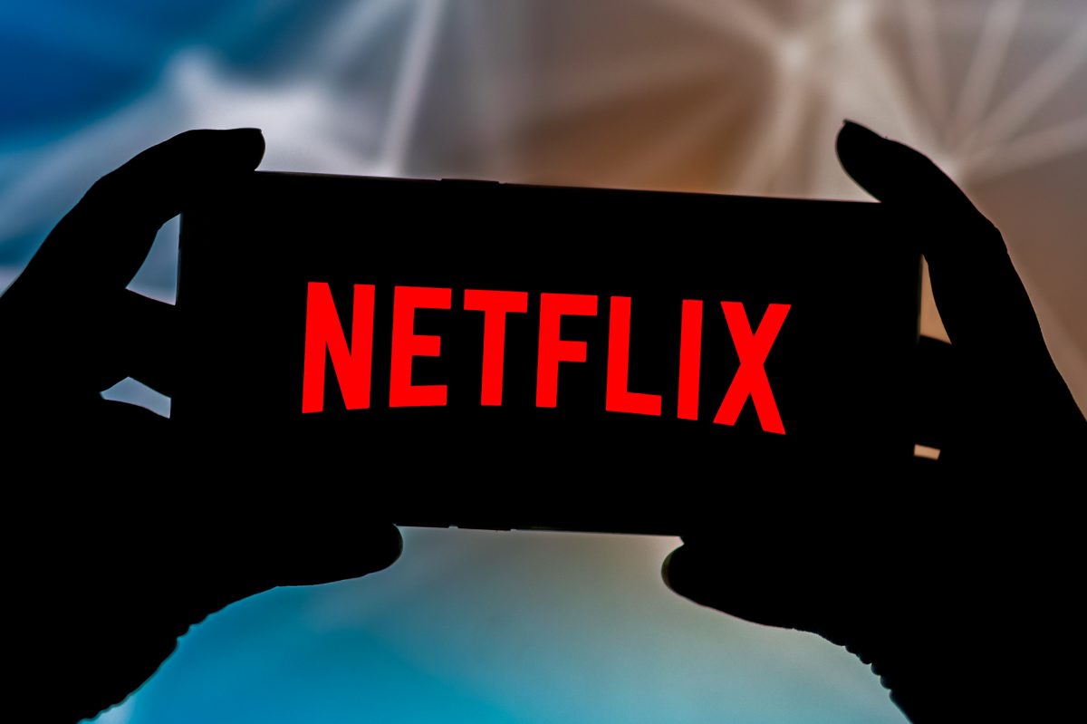 Detail First Netflix Logo Nomer 29