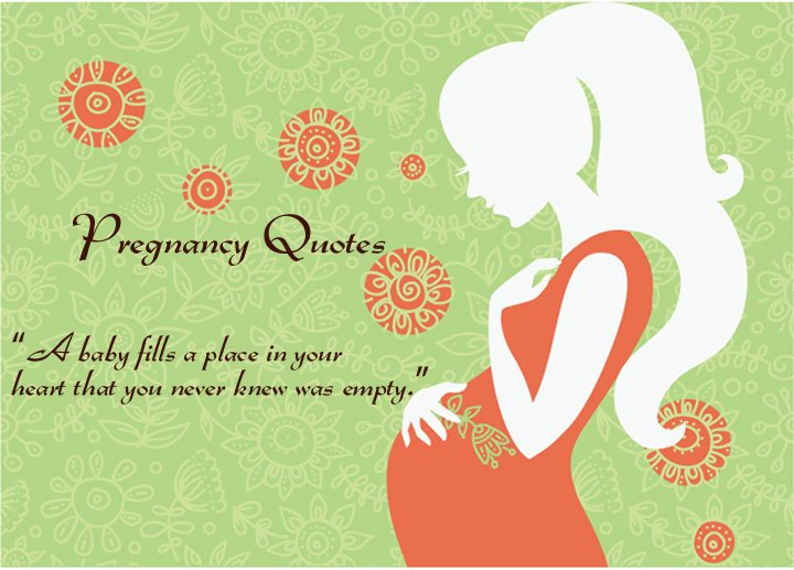 Detail First Pregnancy Quotes Nomer 27