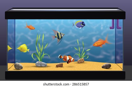 Detail Fish Aquarium Images Nomer 29