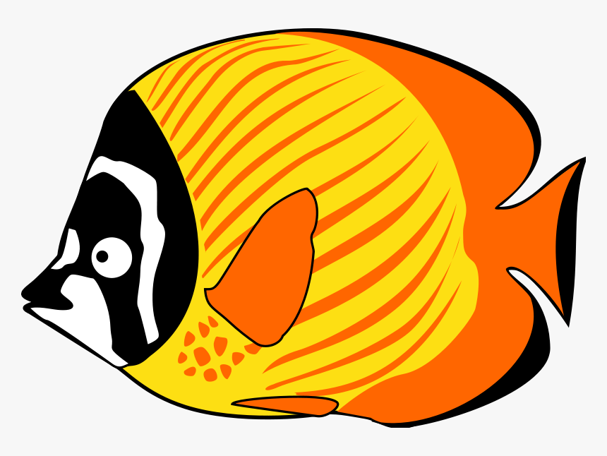 Detail Fish Clipart Png Nomer 26