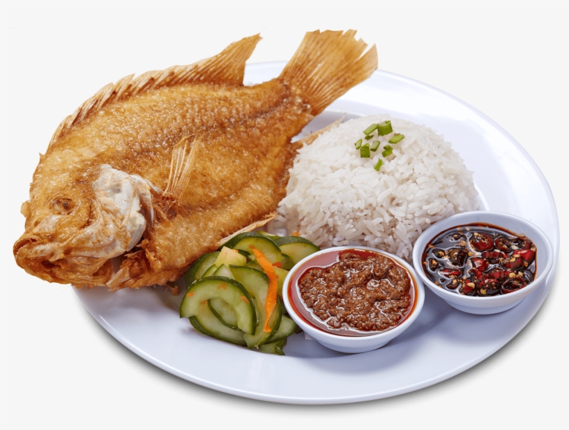 Detail Fish Food Png Nomer 7