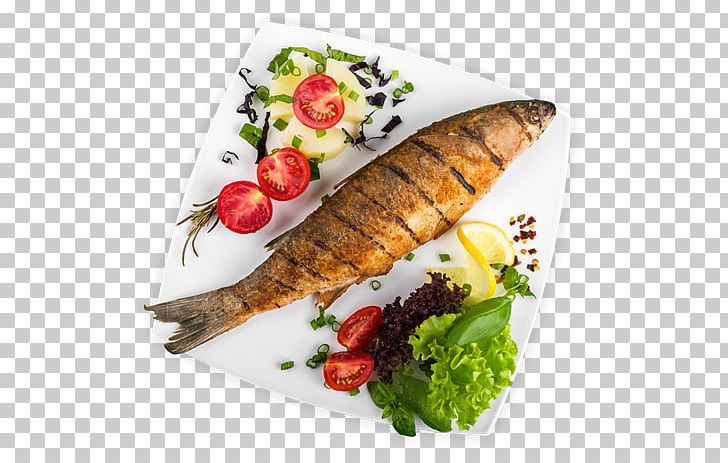 Detail Fish Food Png Nomer 3