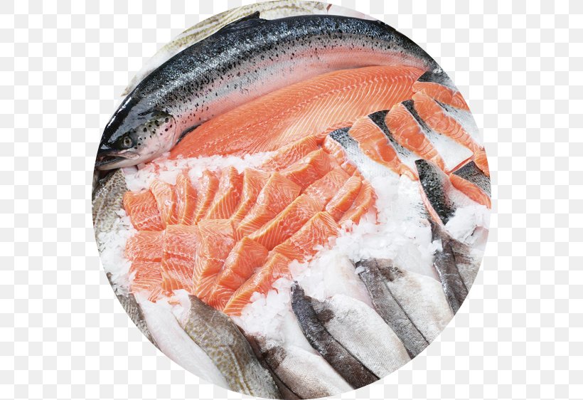 Detail Fish Food Png Nomer 41