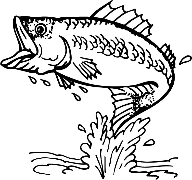 Detail Fish Free Clipart Nomer 34