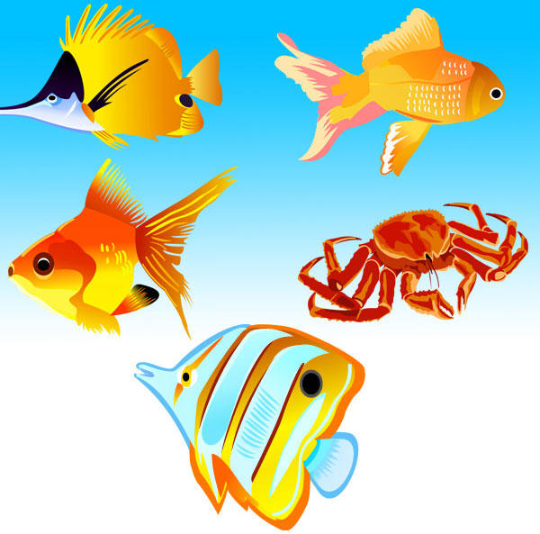 Detail Fish Free Download Nomer 11