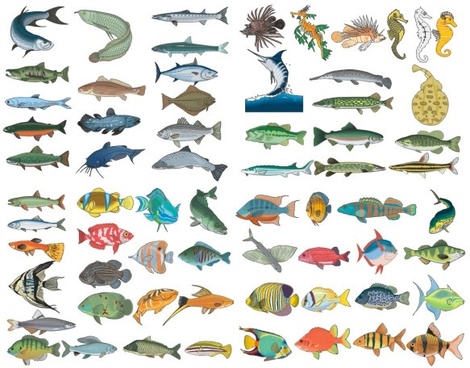 Detail Fish Free Download Nomer 16