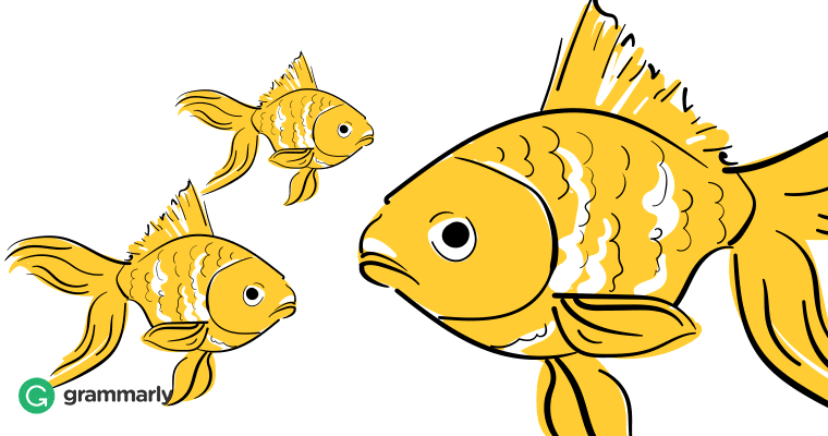 Detail Fish Image Nomer 20