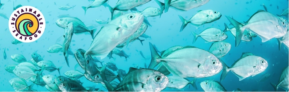 Detail Fish Image Nomer 32