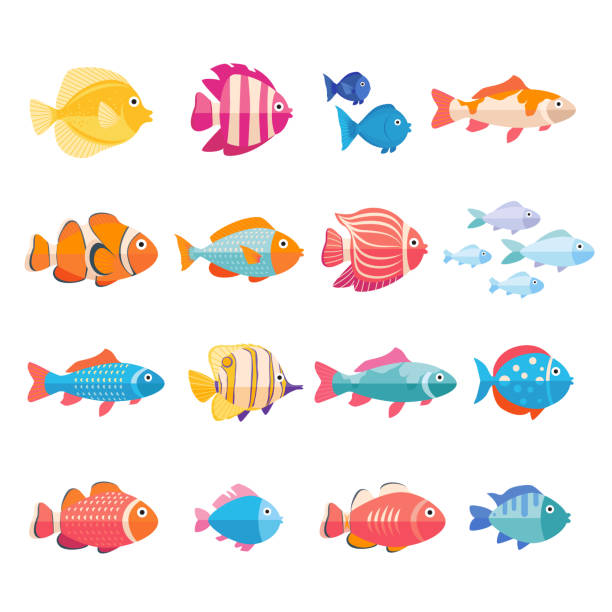 Detail Fish Image Nomer 35