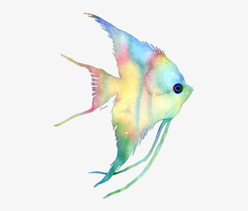 Detail Fish No Background Nomer 49