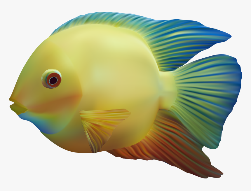 Detail Fish Png Transparent Nomer 5