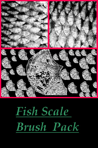 Detail Fish Scale Photoshop Brush Nomer 13