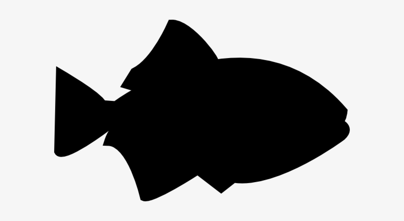 Detail Fish Silhouette Png Nomer 16