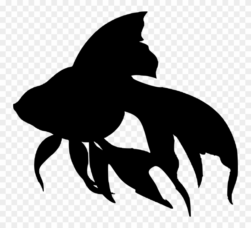 Detail Fish Silhouette Png Nomer 33