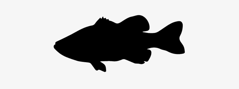 Detail Fish Silhouette Png Nomer 9