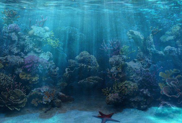 Fish Tank Background Printable Free Printable Aquarium Backgrounds - KibrisPDR