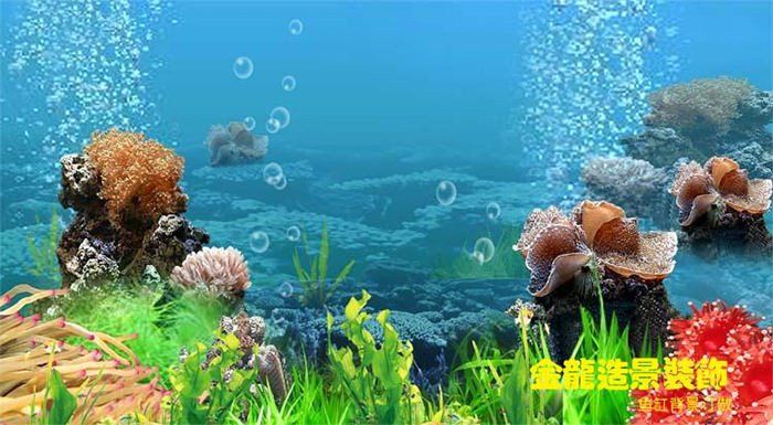 Detail Fish Tank Background Printable Free Printable Aquarium Backgrounds Nomer 3