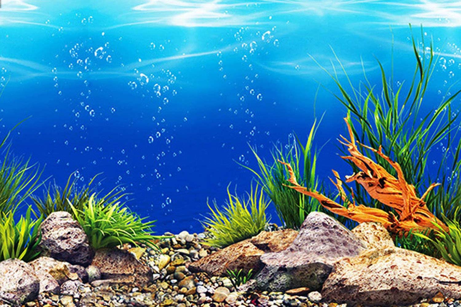 Detail Fish Tank Background Printable Free Printable Aquarium Backgrounds Nomer 10