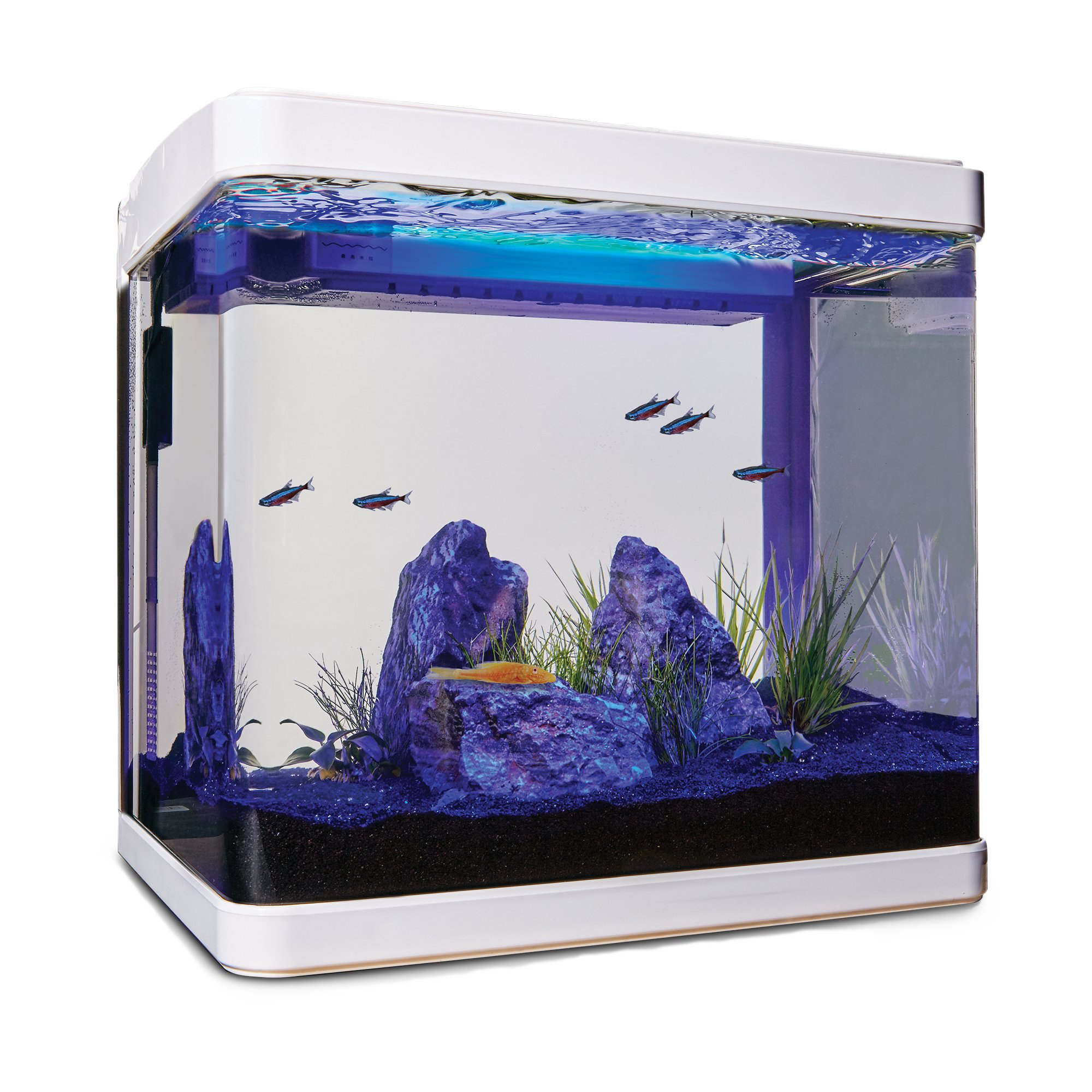 Detail Fish Tank Png Nomer 16