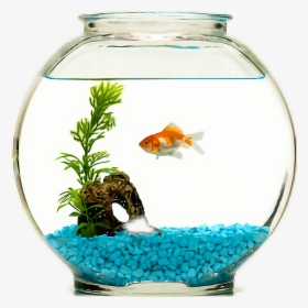 Detail Fish Tank Png Nomer 22