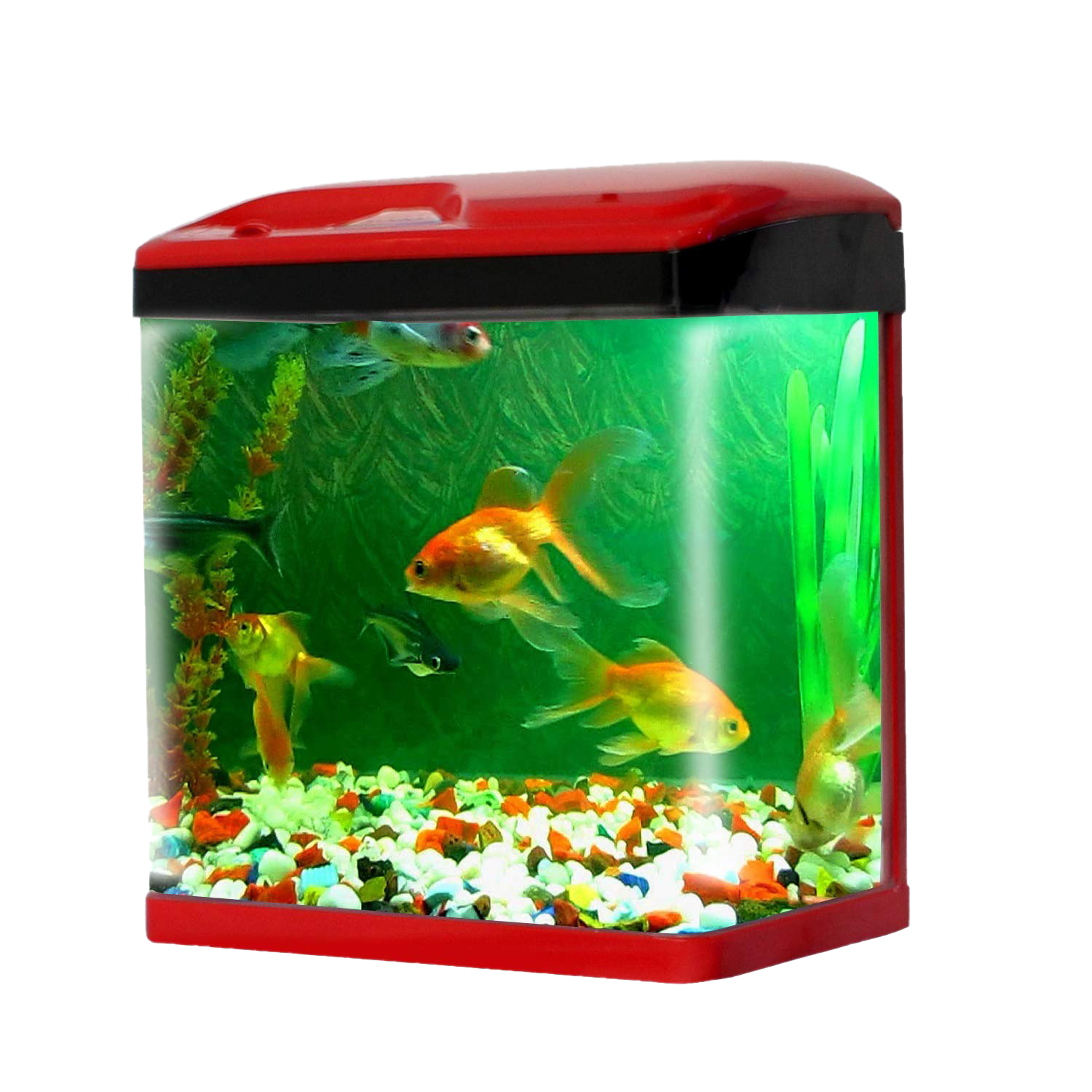 Detail Fish Tank Png Nomer 34