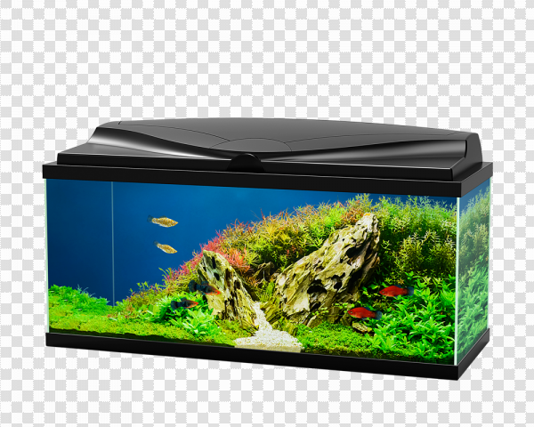 Detail Fish Tank Png Nomer 46