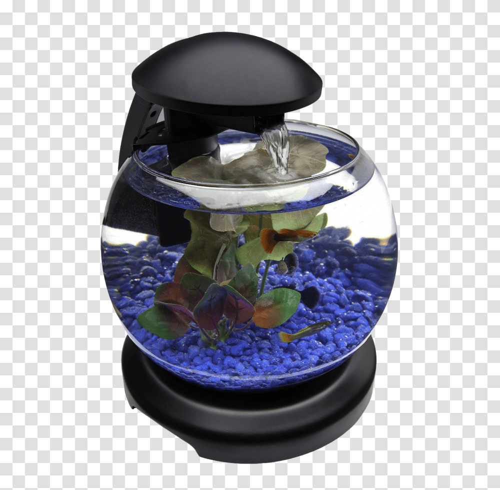 Detail Fish Tank Png Nomer 47