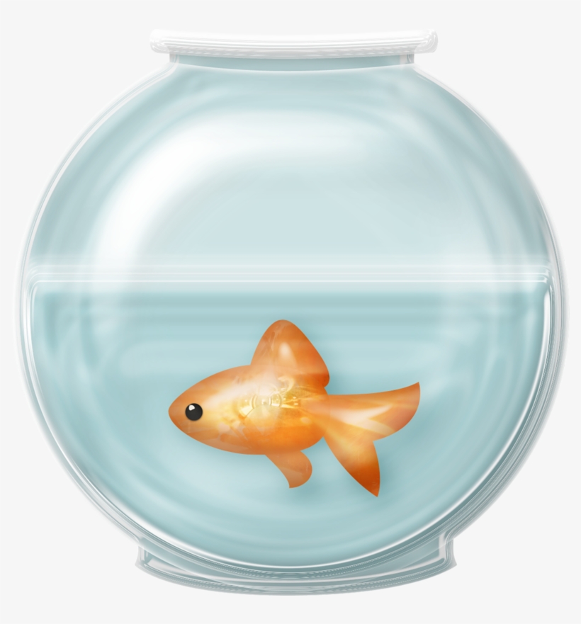 Detail Fish Tank Png Nomer 51