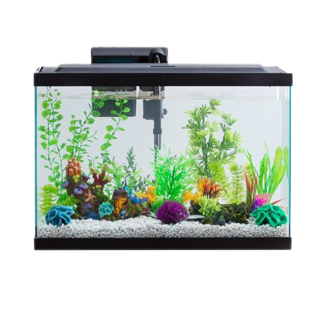 Detail Fish Tank Png Nomer 8