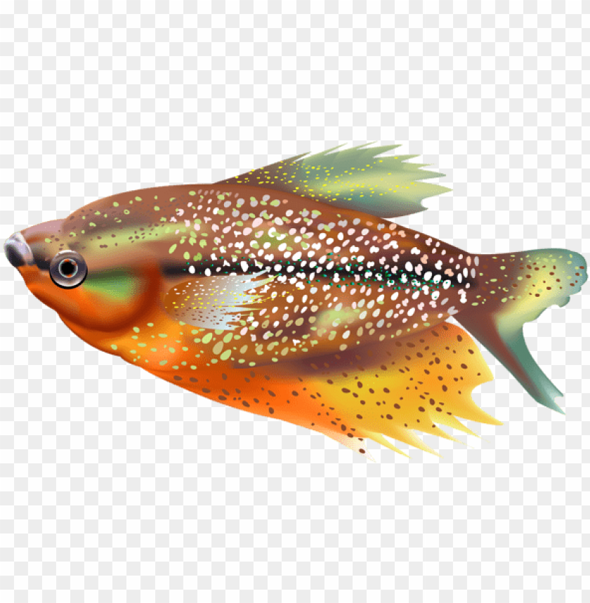 Detail Fish Transparent Nomer 30