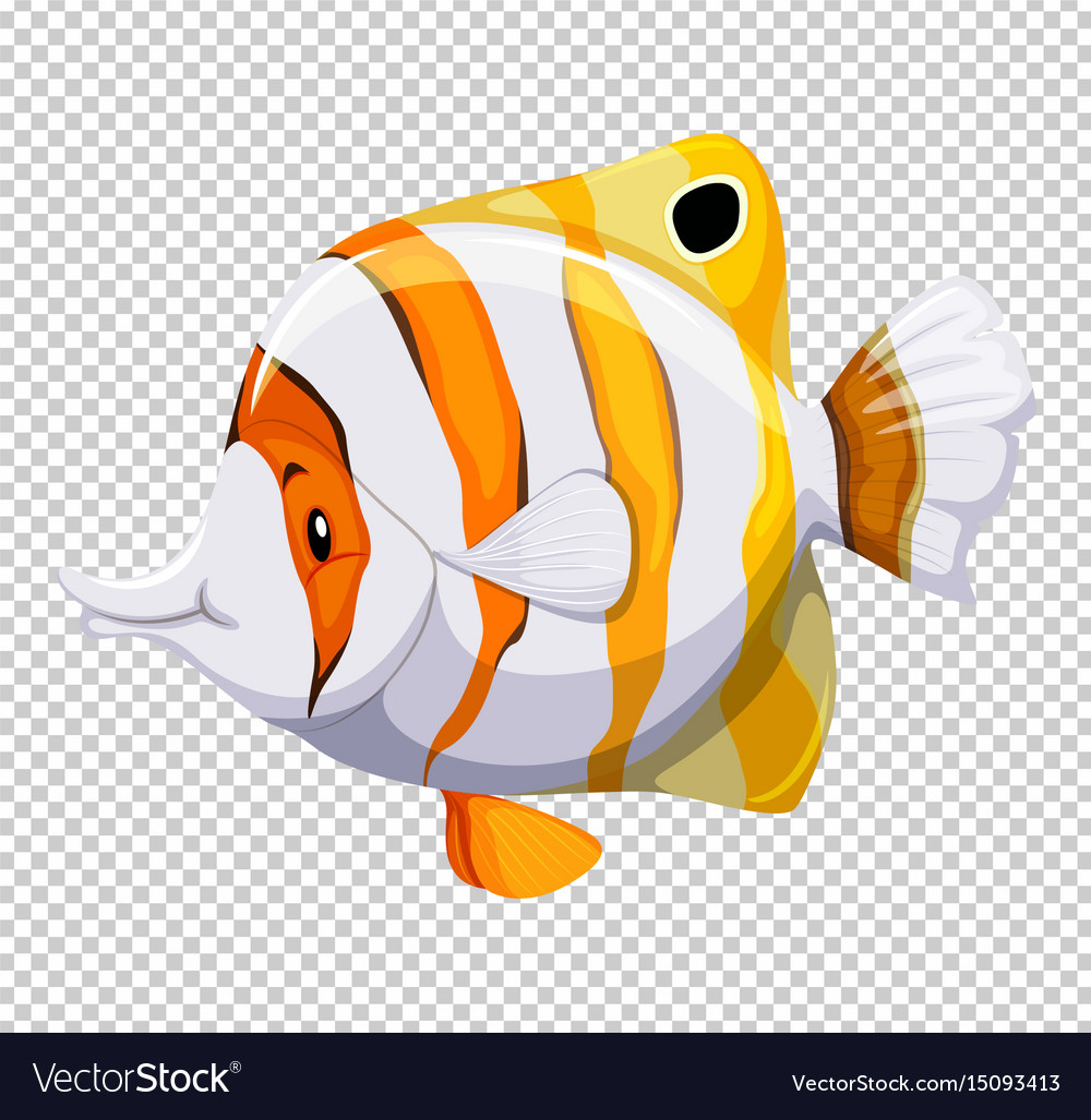 Detail Fish Transparent Background Nomer 16